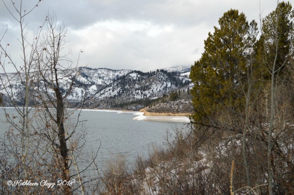 Day Trip to Jackson, Wyoming pebblepirouette.com #wyoming #jacksonwyoming #daytrip #wildlife #nationalelkrefuge