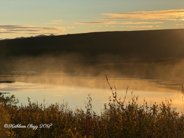 25 Photos to Make You Fall in Love with Alaska pebblepirouette.com #alaska #photos #photography #nature #travel #wildlife