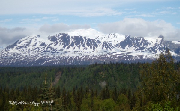 25 Photos to Make You Fall in Love with Alaska pebblepirouette.com #alaska #photos #photography #nature #travel #wildlife