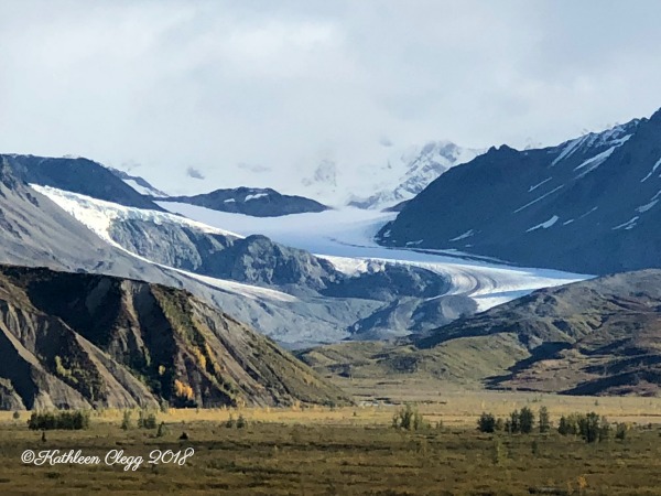 25 Photos to Make You Fall in Love with Alaska pebblepirouette.com #alaska #photos #photography #nature #travel #wildlife