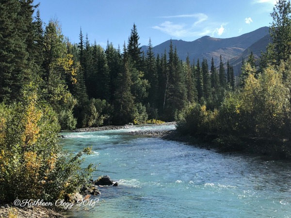 25 Photos to Make You Fall in Love with Alaska pebblepirouette.com #alaska #photos #photography #nature #travel #wildlife