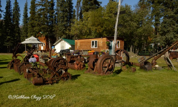 25 Photos to Make You Fall in Love with Alaska pebblepirouette.com #alaska #photos #photography #nature #travel #wildlife