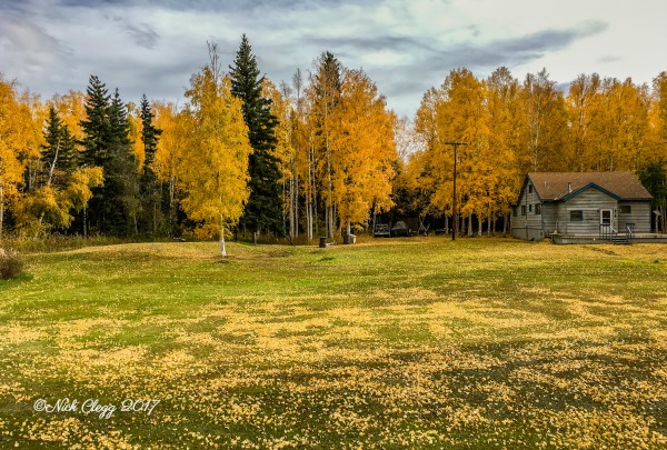 25 Photos to Make You Fall in Love with Alaska pebblepirouette.com #alaska #photos #photography #nature #travel #wildlife