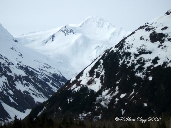 25 Photos to Make You Fall in Love with Alaska pebblepirouette.com #alaska #photos #photography #nature #travel #wildlife