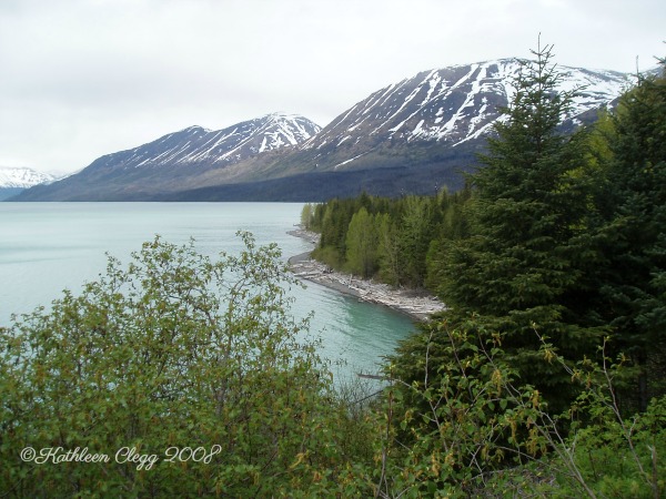 25 Photos to Make You Fall in Love with Alaska pebblepirouette.com #alaska #photos #photography #nature #travel #wildlife