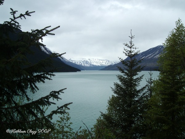 25 Photos to Make You Fall in Love with Alaska pebblepirouette.com #alaska #photos #photography #nature #travel #wildlife