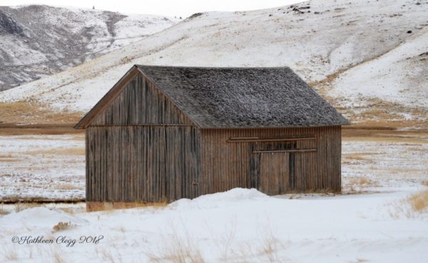 Day Trip to Jackson, Wyoming pebblepirouette.com #wyoming #jacksonwyoming #daytrip #wildlife #nationalelkrefuge