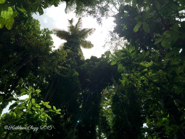 15 Photos of Stunning Saint Lucia pebblepriouette.com #saintlucia #photography #travelphotography