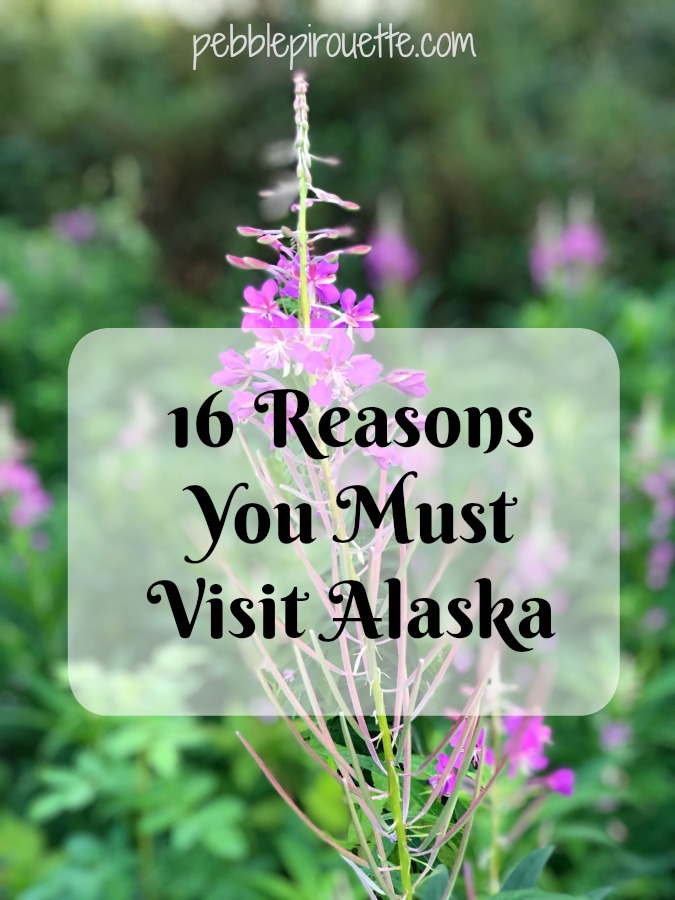 16 Reasons You Must Visit Alaska #Alaska #travelalaska #visitalaska pebblepirouette.com