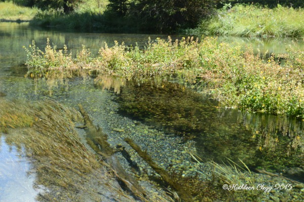 40 Photos Proving the Beauty of East Idaho pebblepirouette.com #idahophotography #idaho #travelphotography #eastidaho #nature #wildlife