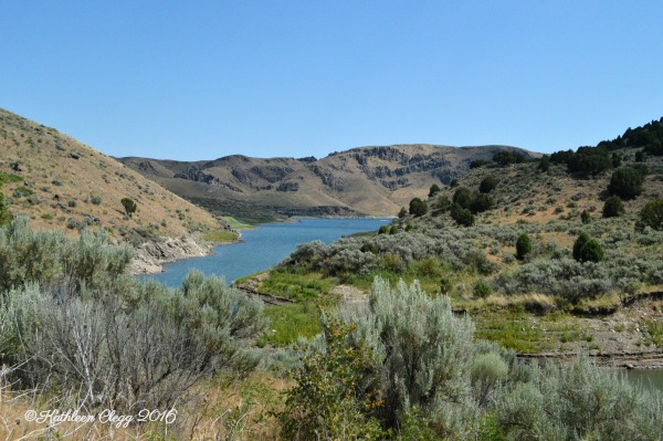 40 Photos Showing the Beauty of East Idaho pebblepirouette.com #idahophotography #idaho #travelphotography #eastidaho #nature #wildlife