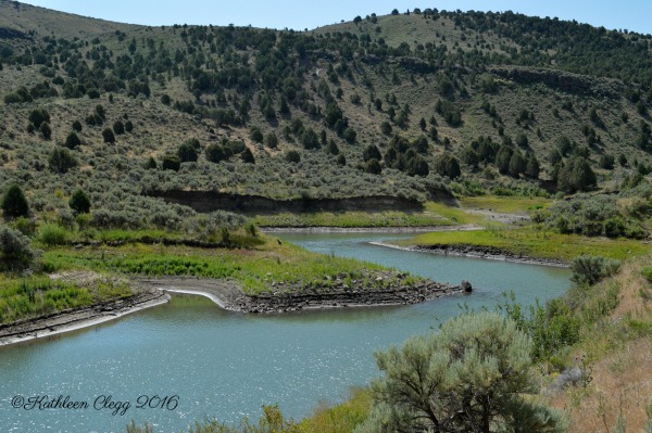 40 Photos Showing the Beauty of East Idaho pebblepirouette.com #idahophotography #idaho #travelphotography #eastidaho #nature #wildlife