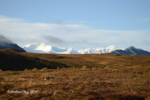 16 Reasons You Must Visit Alaska #Alaska #travelalaska #visitalaska pebblepirouette.com