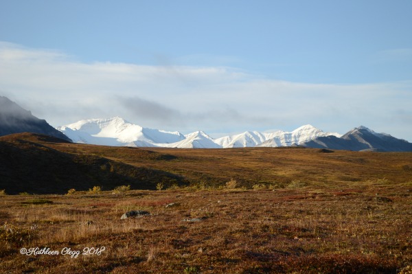 16 Reasons You Must Visit Alaska #Alaska #travelalaska #visitalaska pebblepirouette.com