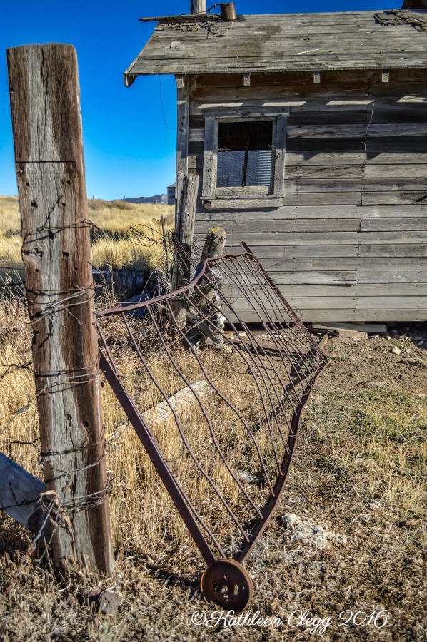 40 Photos Showing the Beauty of East Idaho pebblepirouette.com #idahophotography #idaho #travelphotography #eastidaho #nature #wildlife