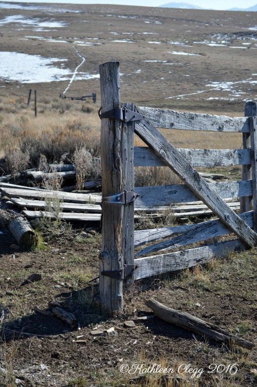 40 Photos Showing the Beauty of East Idaho pebblepirouette.com #idahophotography #idaho #travelphotography #eastidaho #nature #wildlife