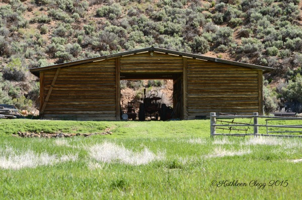 40 Photos Showing the Beauty of East Idaho pebblepirouette.com #idahophotography #idaho #travelphotography #eastidaho #nature #wildlife