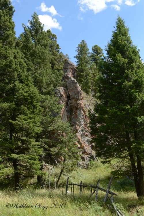 40 Photos Showing the Beauty of East Idaho pebblepirouette.com #idahophotography #idaho #travelphotography #eastidaho #nature #wildlife