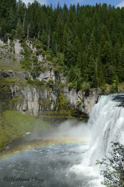 40 Photos Proving the Beauty of East Idaho pebblepirouette.com #idahophotography #idaho #travelphotography #eastidaho #nature #wildlife