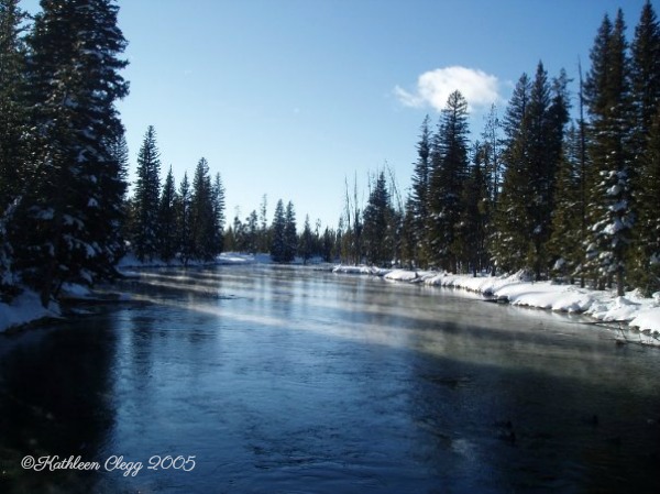 40 Photos Showing the Beauty of East Idaho pebblepirouette.com #idahophotography #idaho #travelphotography #eastidaho #nature #wildlife