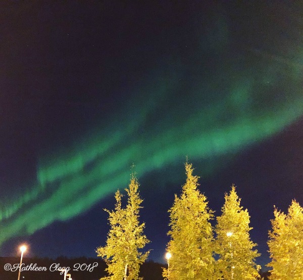 Northern Lights 16 Reasons You Must Visit Alaska #Alaska #travelalaska #visitalaska pebblepirouette.com