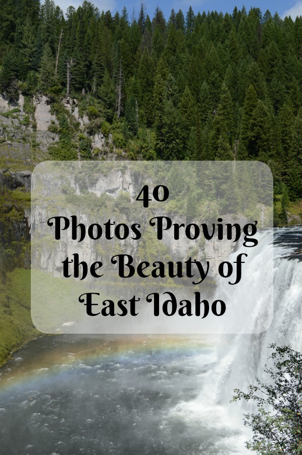 40 Photos Proving the Beauty of East Idaho pebblepirouette.com #idahophotography #idaho #travelphotography #eastidaho #nature #wildlife