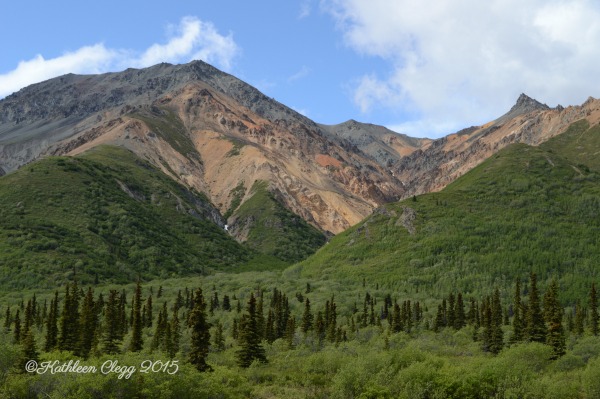 16 Reasons You Must Visit Alaska #Alaska #travelalaska #visitalaska pebblepirouette.com