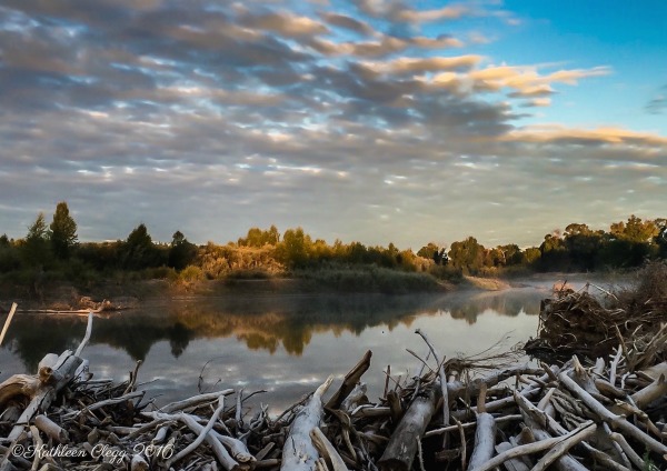 40 Photos Showing the Beauty of East Idaho pebblepirouette.com #idahophotography #idaho #travelphotography #eastidaho #nature #wildlife