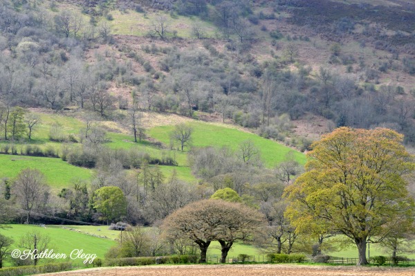 An Accidental Trip to Castleton, England pebblepirouette.com #castletonengland #derbyshirepeakdistrictnationalpark #travel #england #uk 