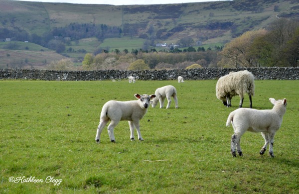 An Accidental Trip to Castleton, England pebblepirouette.com #castletonengland #derbyshirepeakdistrictnationalpark #travel #england #uk