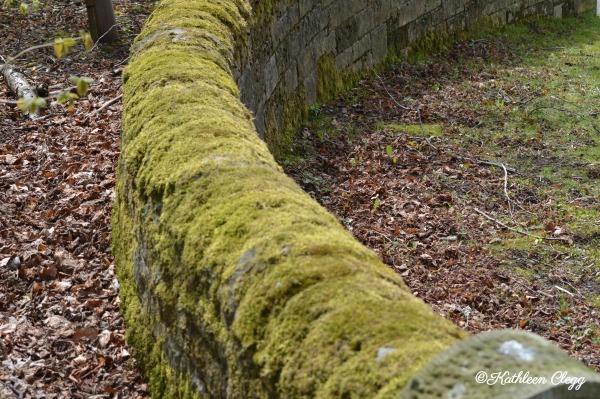 An Accidental Trip to Castleton, England pebblepirouette.com #castletonengland #derbyshirepeakdistrictnationalpark #travel #england #uk