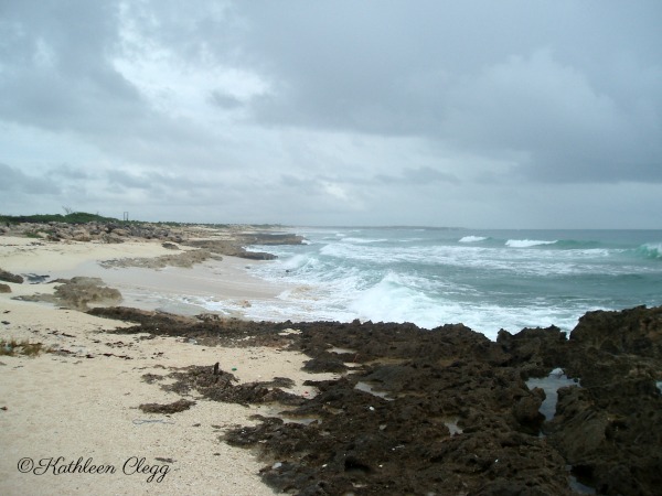 11 Must See Attractions in Cozumel Mexico #Mexico pebblepirouette.com #Cozumel #travel 