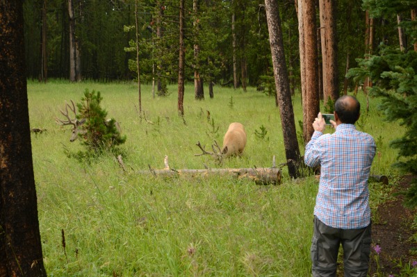 Wildlife Photography Tips