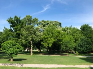 Washington Irving Memorial Park and Arboretum
