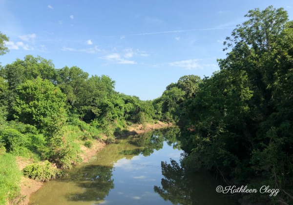 The Swinging Bridge Bird Creek