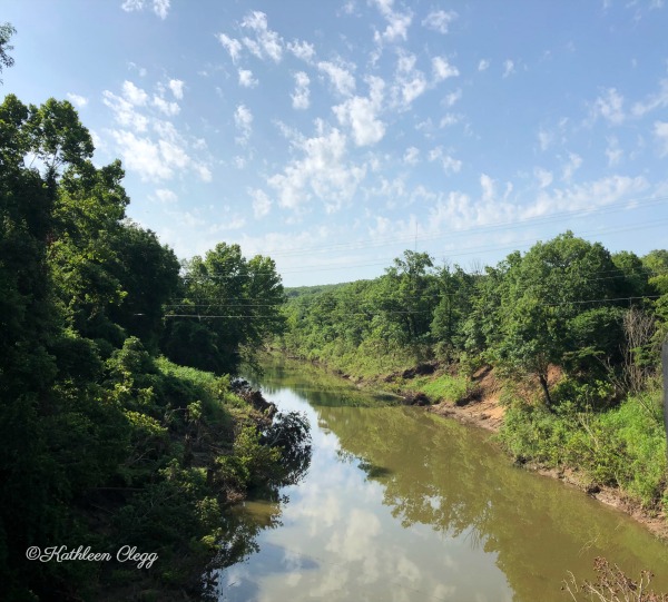 The Swinging Bridge Bird Creek