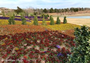 Tulsa Botanic Garden