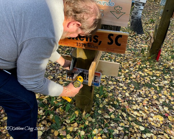 Sign Post Forest