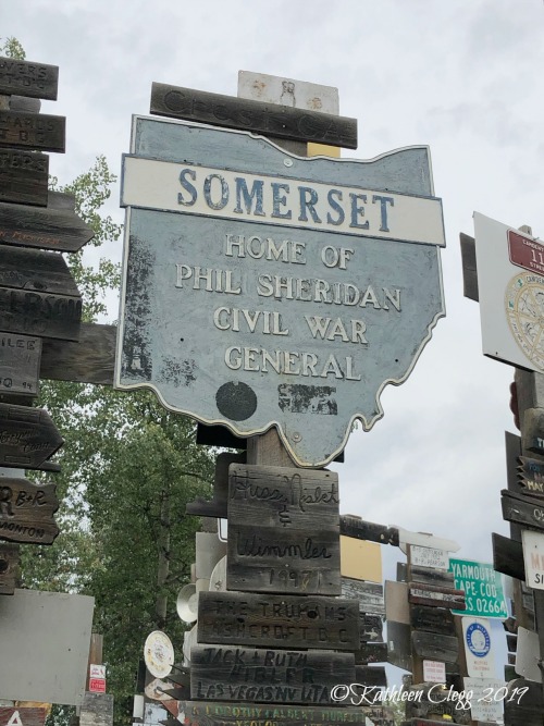 Sign Post Forest