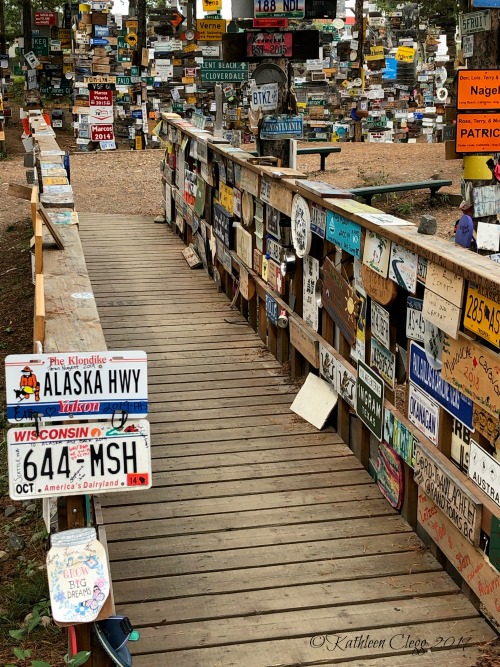 Sign Post Forest