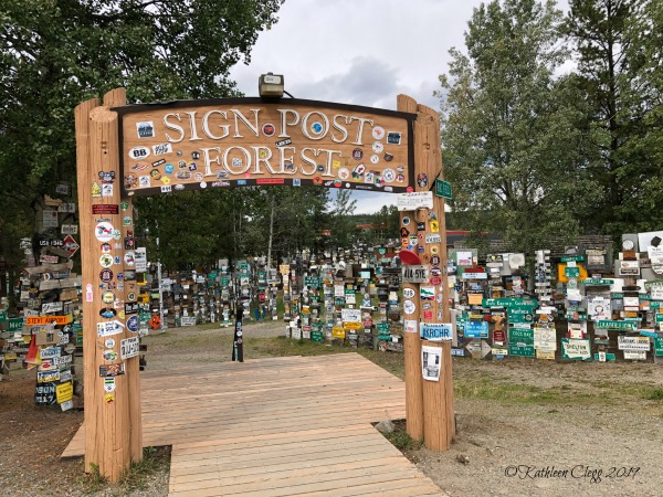 Sign Post Forest