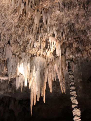 10 Tips for Visiting Carlsbad Caverns National Park