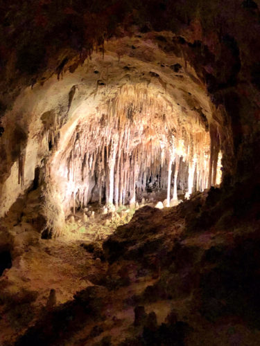 10 Tips for Visiting Carlsbad Caverns National Park