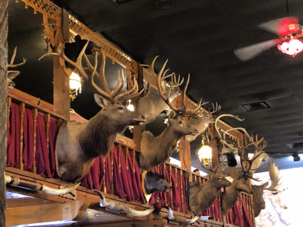 The Big Texan Amarillo Texas