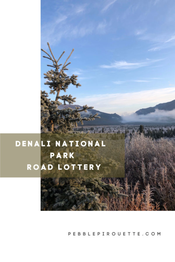 Denali National Park Road Lottery