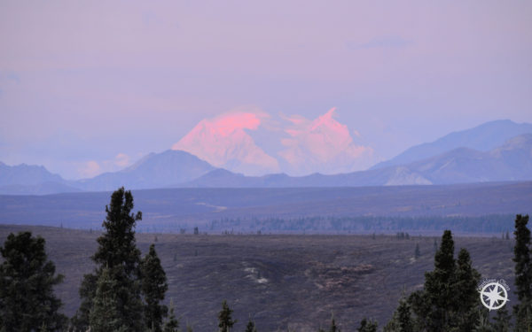 Denali National Park Road Lottery