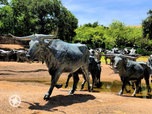 5 Sculptures from Central Park Dallas